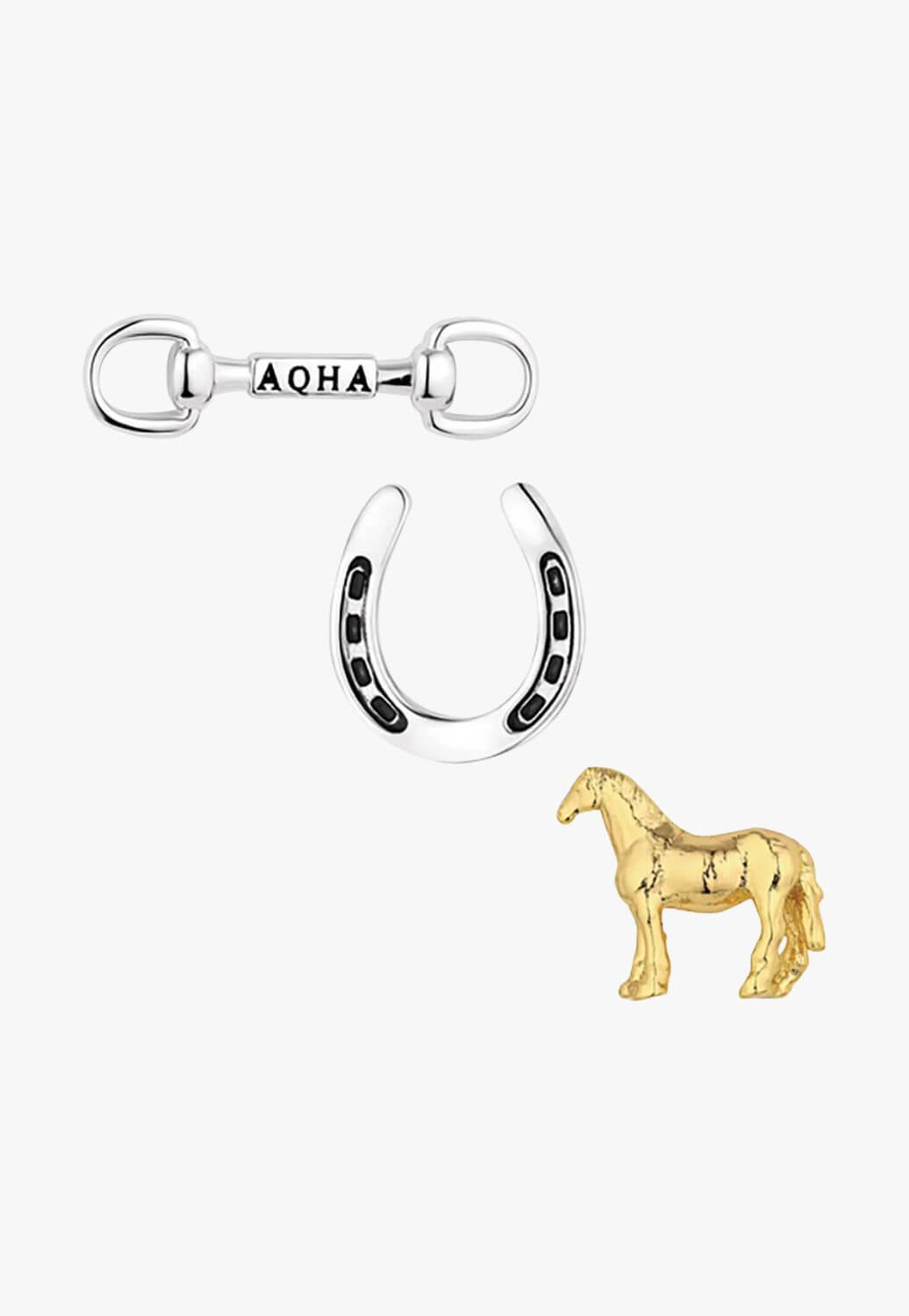 Montana Enjoy the Ride Pins