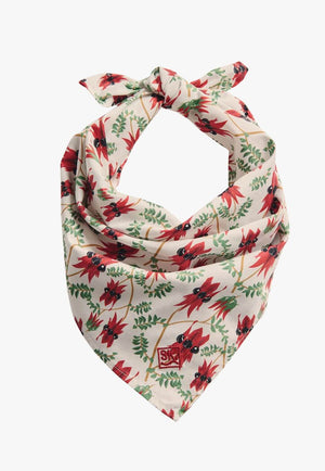 S. Kidman Parachilna Bandana