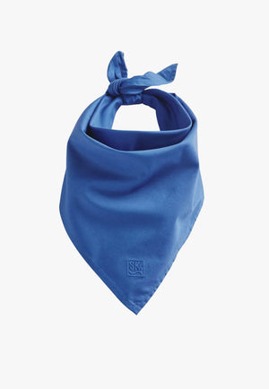 S. Kidman Parachilna Bandana