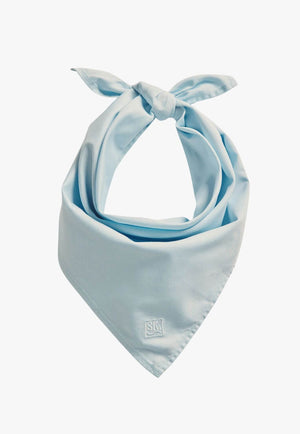 S. Kidman Parachilna Bandana