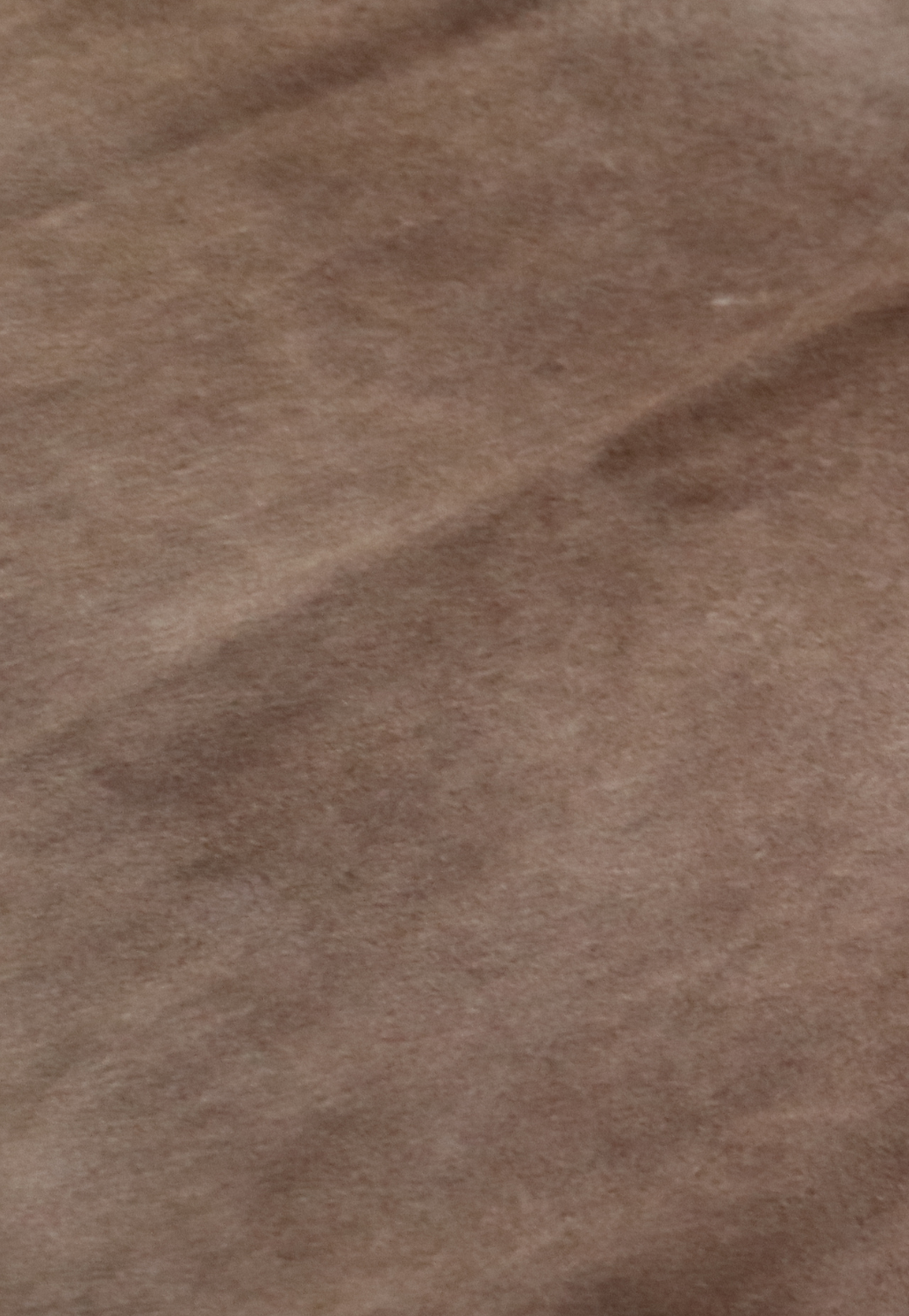 Hide & Leather House Cowhide Rug