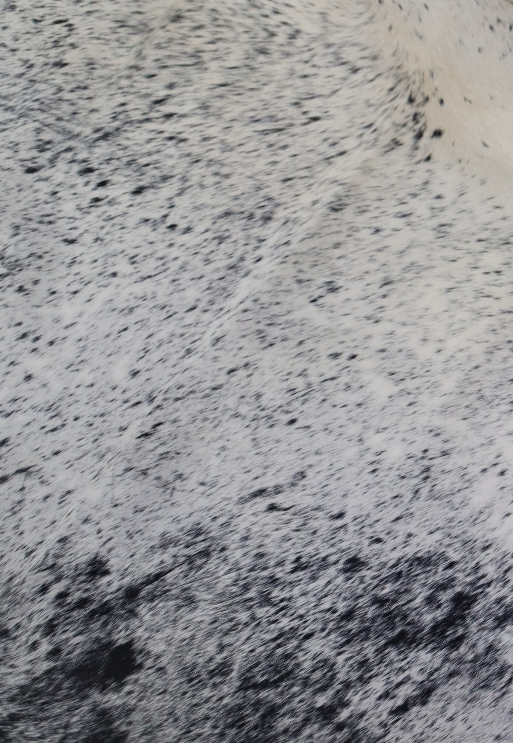 Hide & Leather House Cowhide Rug