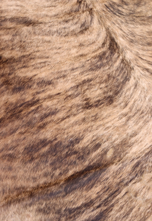 Hide & Leather House Cowhide Rug