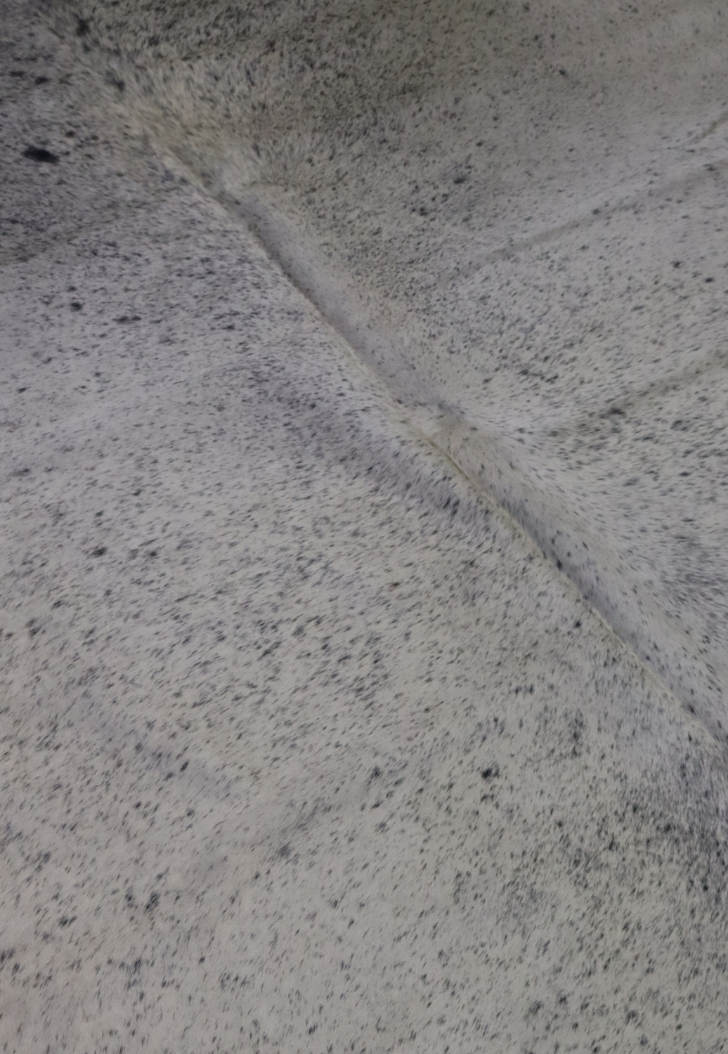 Hide & Leather House Cowhide Rug