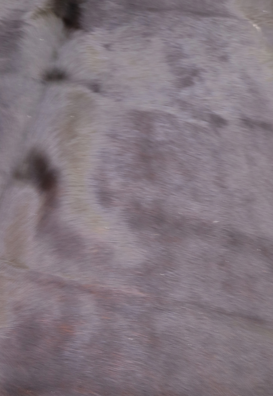 Hide & Leather House Cowhide Rug