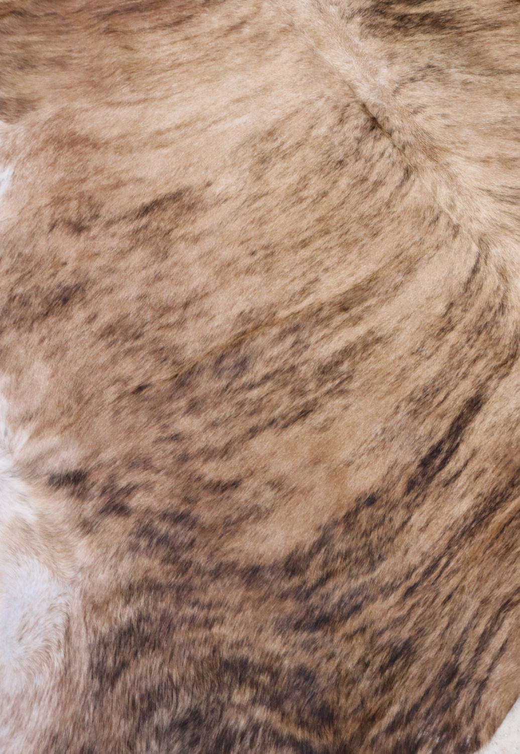 Hide & Leather House Cowhide Rug