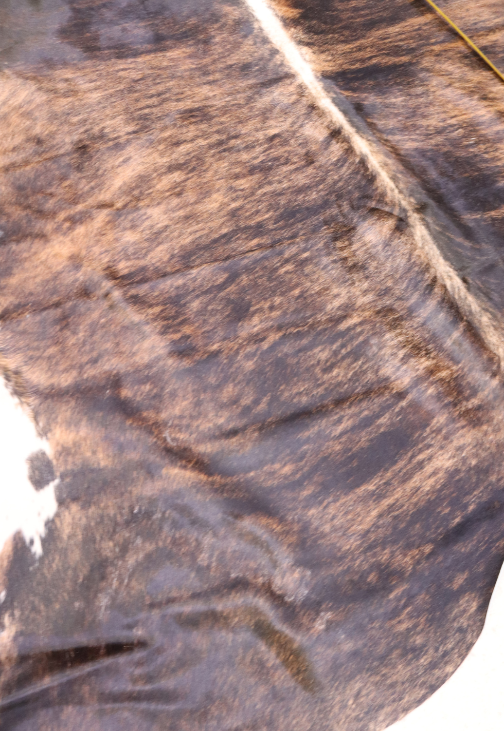 Hide & Leather House Cowhide Rug