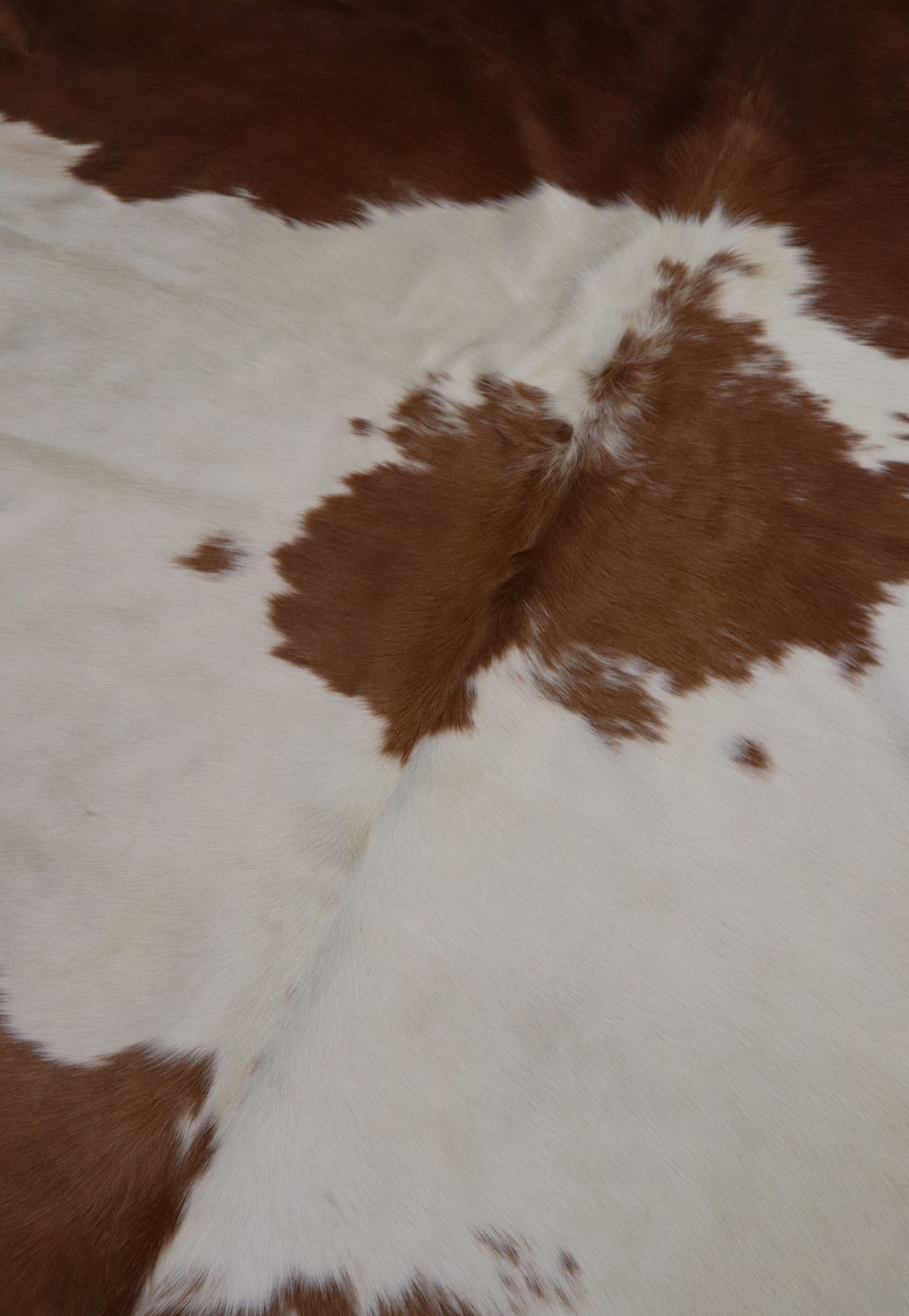 Hide & Leather House Cowhide Rug
