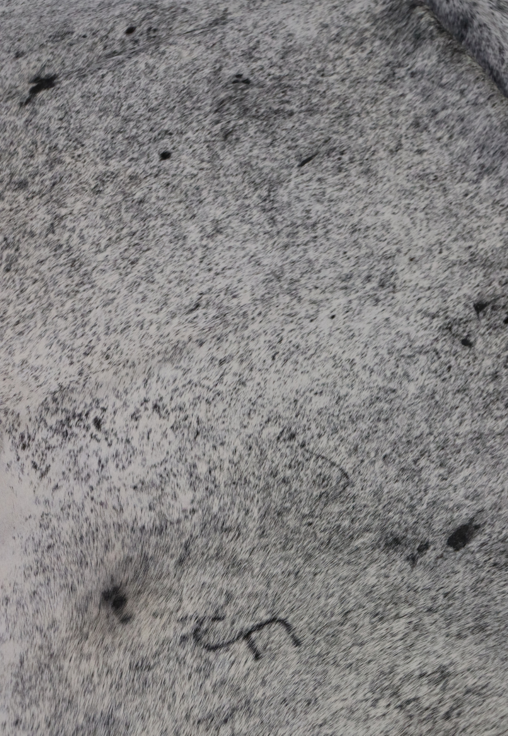 Hide & Leather House Cowhide Rug