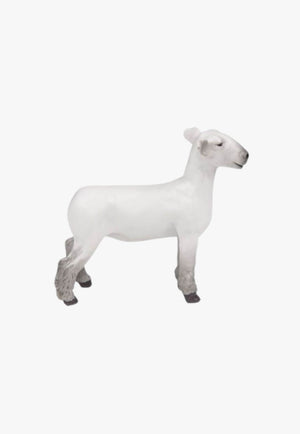 Little Buster Toys Champion Dorset Market Lamb