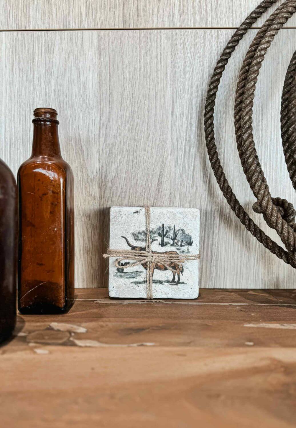 Ranch Life Coaster Set