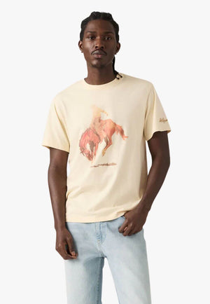 Levis Mens Relaxed Graphic T-Shirt