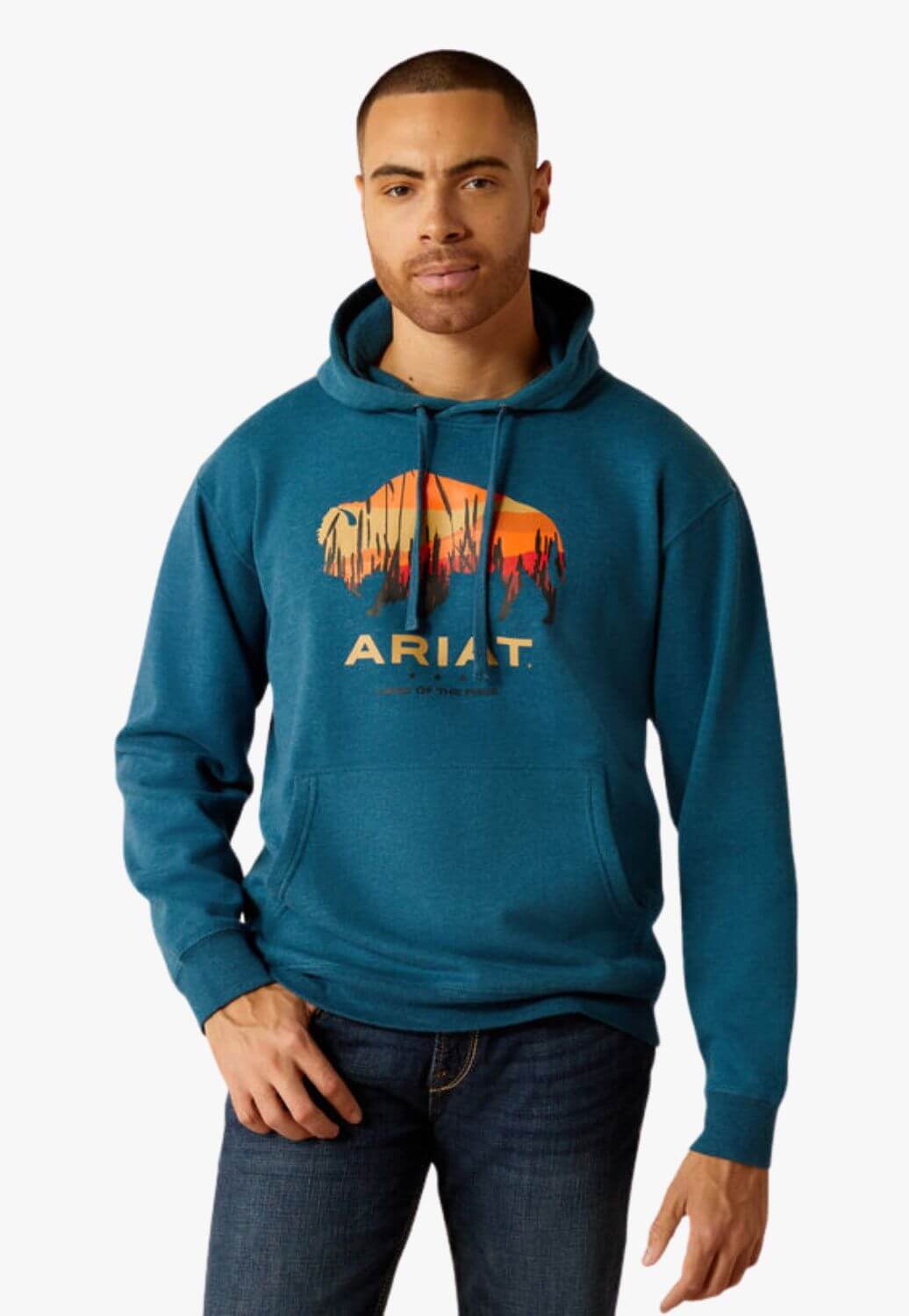 Ariat Mens Bison Plains Hoodie