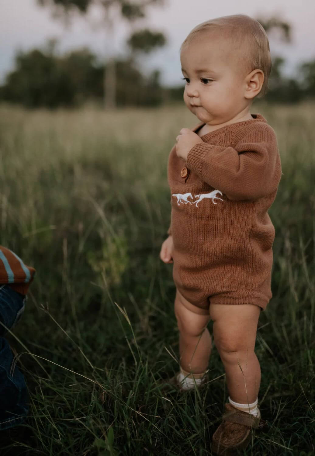 Little Windmill Boys Cotton Knit Jumper