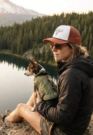 Bex Ripley Sunglasses