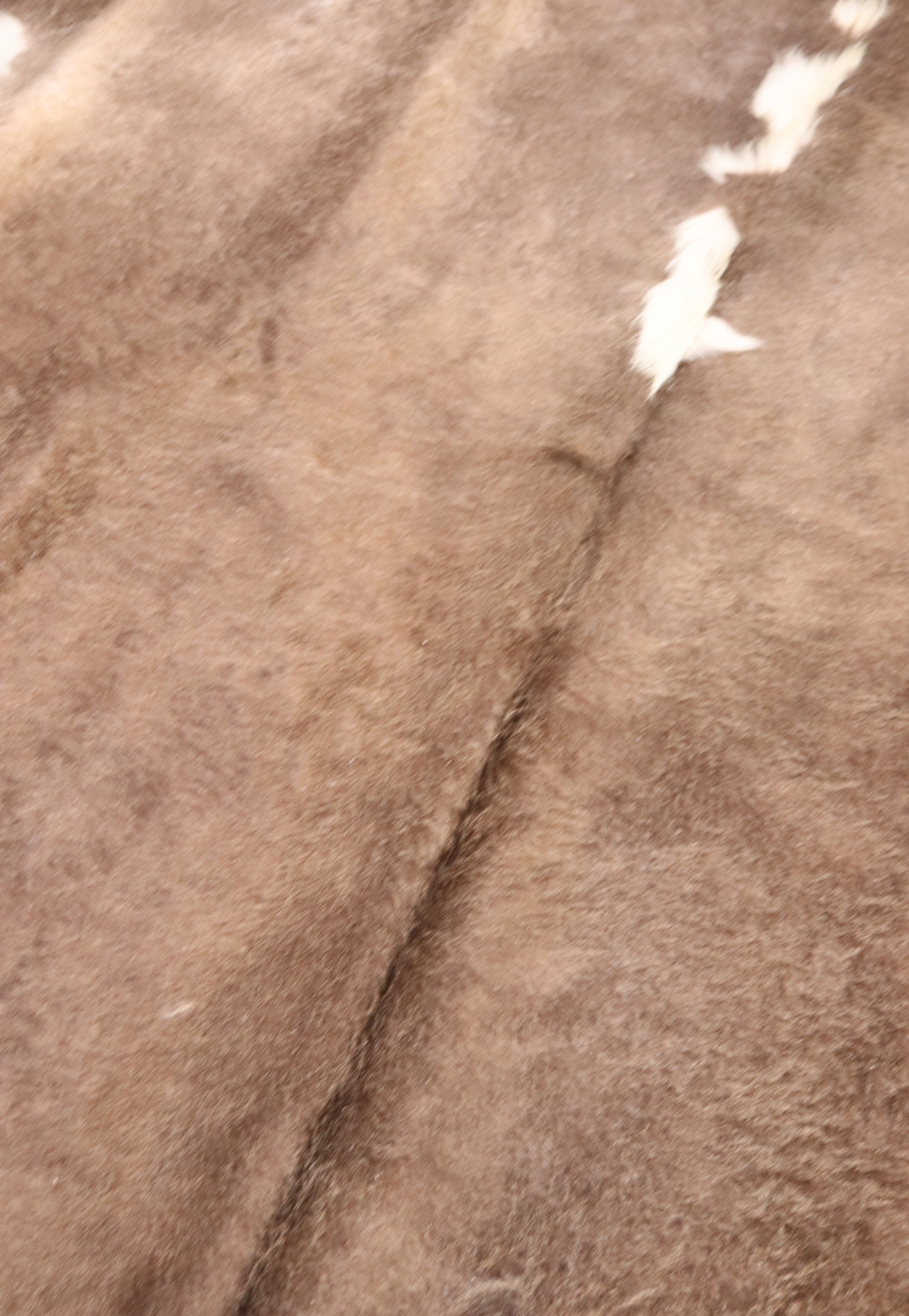 Hide & Leather House Cowhide Rug