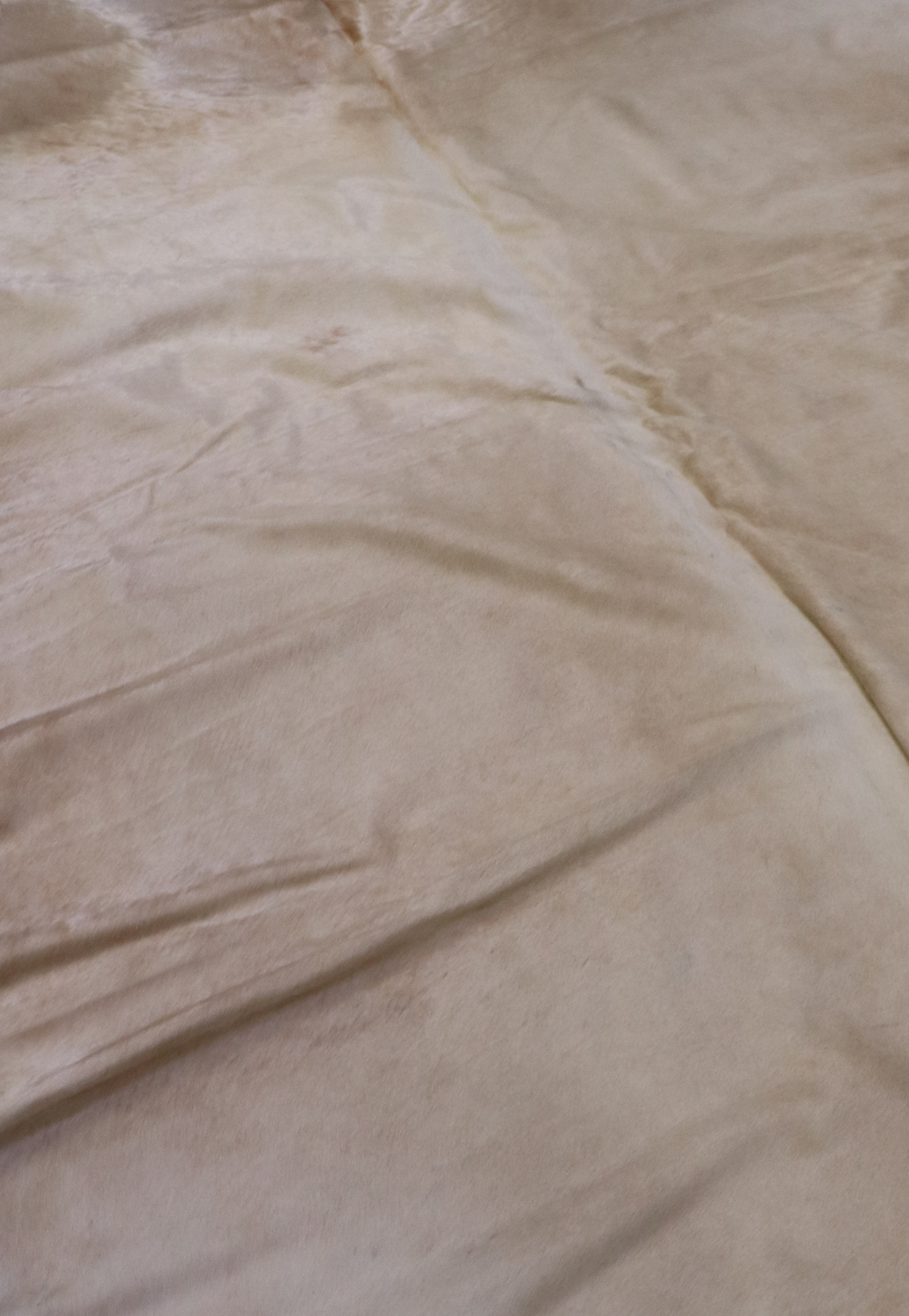 Hide & Leather House Cowhide Rug