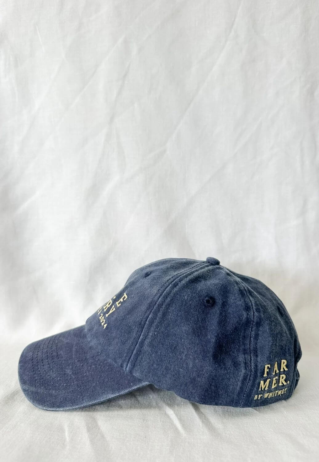 Whitney Spicer GONE Country Cap