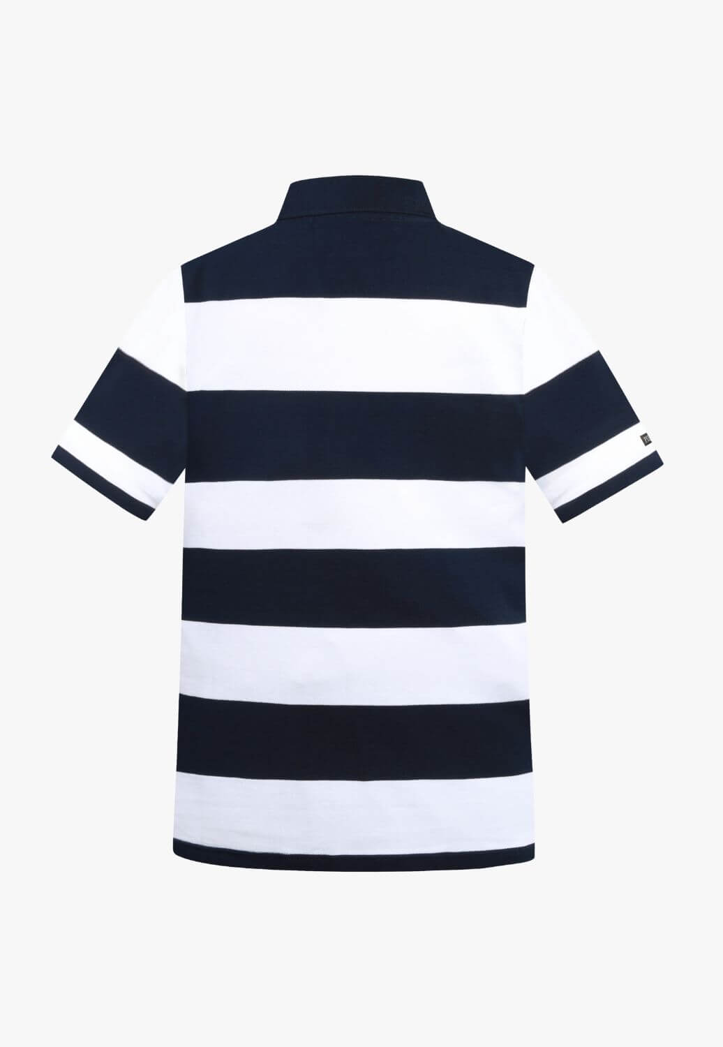 Pilbara Mens Y/D Striped Polo