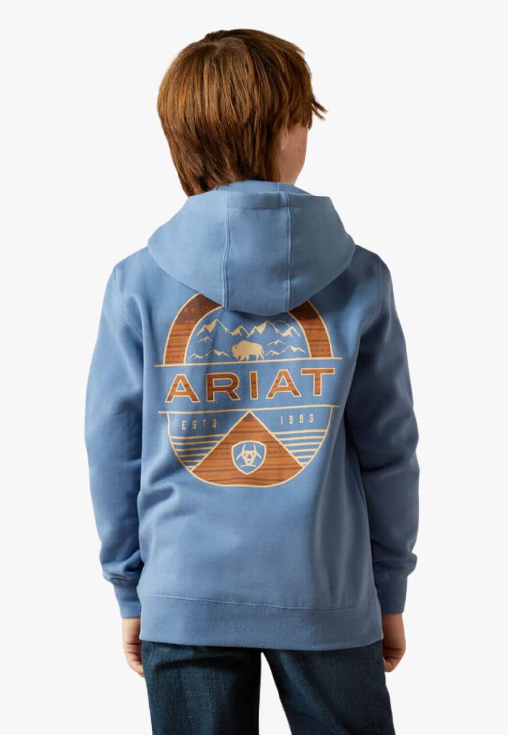 Ariat Boys Sun Valley Circle Hoodie