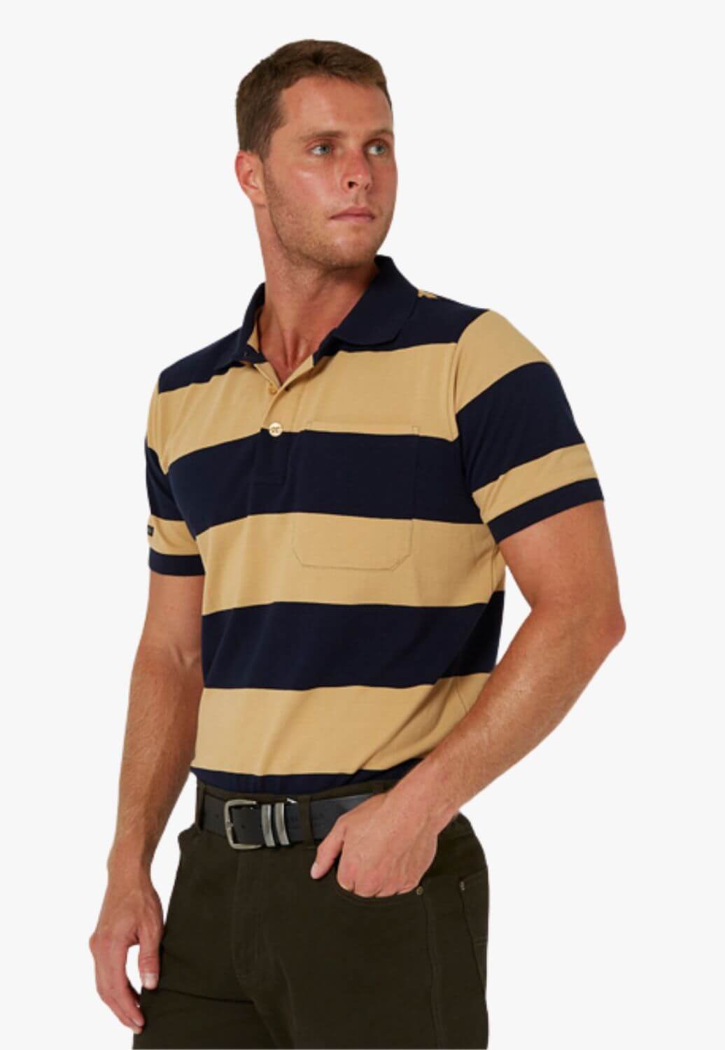 Pilbara Mens Y/D Striped Polo