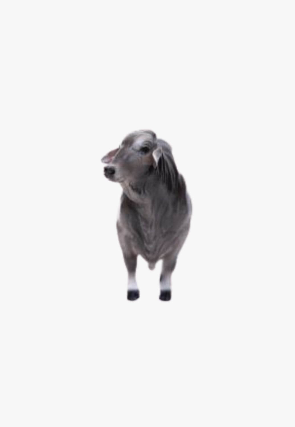 Little Buster Toys Brahman Bull