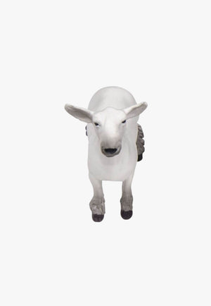 Little Buster Toys Champion Dorset Market Lamb