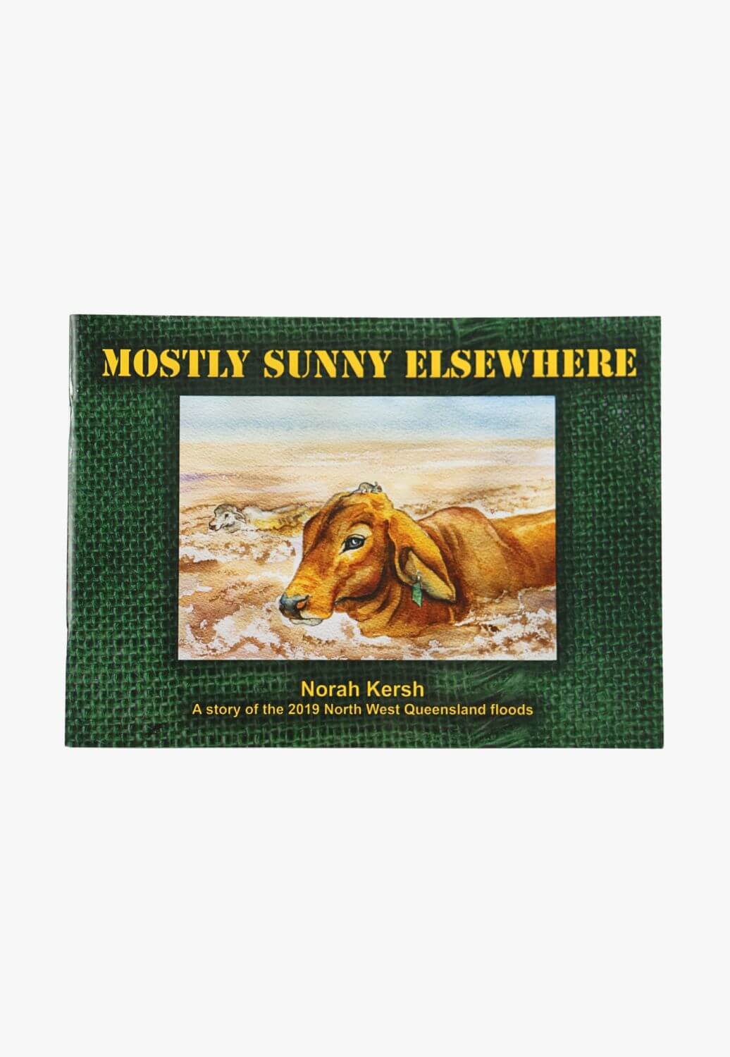 Norah Kersh Mostly Sunny Elsewhere Book