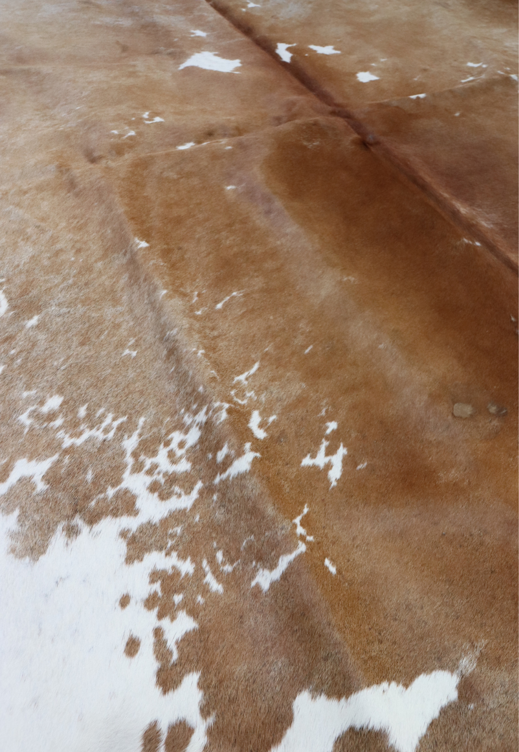 Hide & Leather House Cowhide Rug