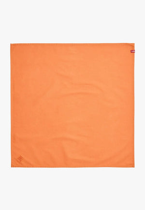 S. Kidman Parachilna Bandana