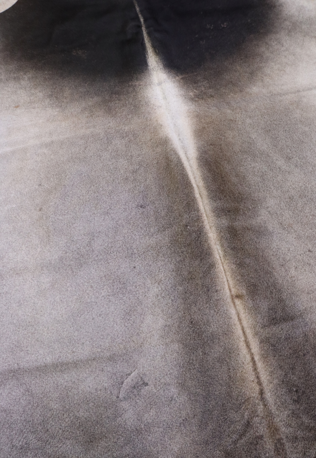 Hide & Leather House Cowhide Rug