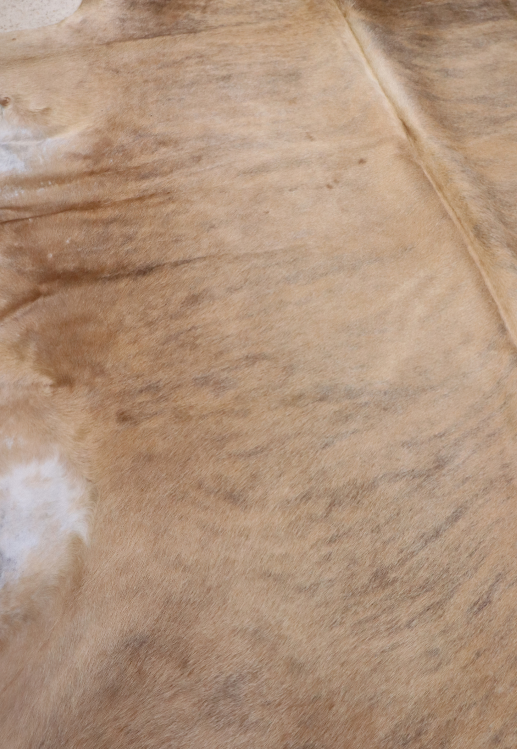 Hide & Leather House Cowhide Rug