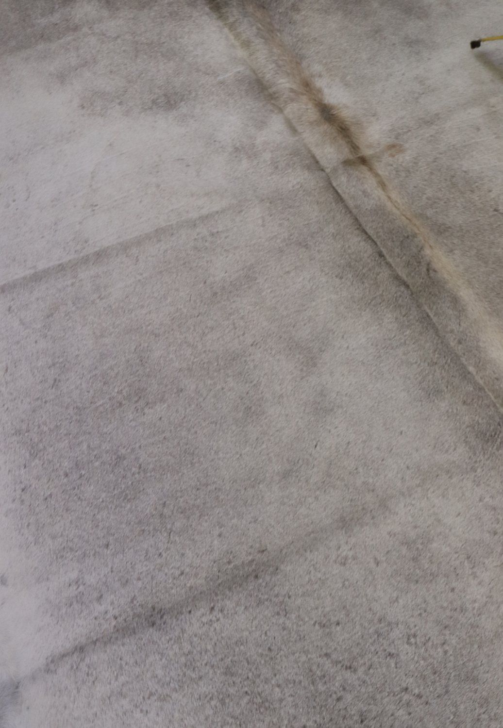 Hide & Leather House Cowhide Rug