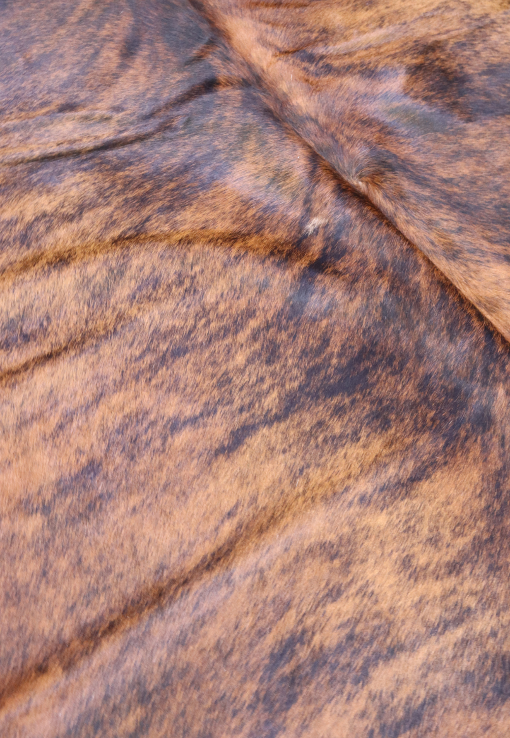 Hide & Leather House Cowhide Rug