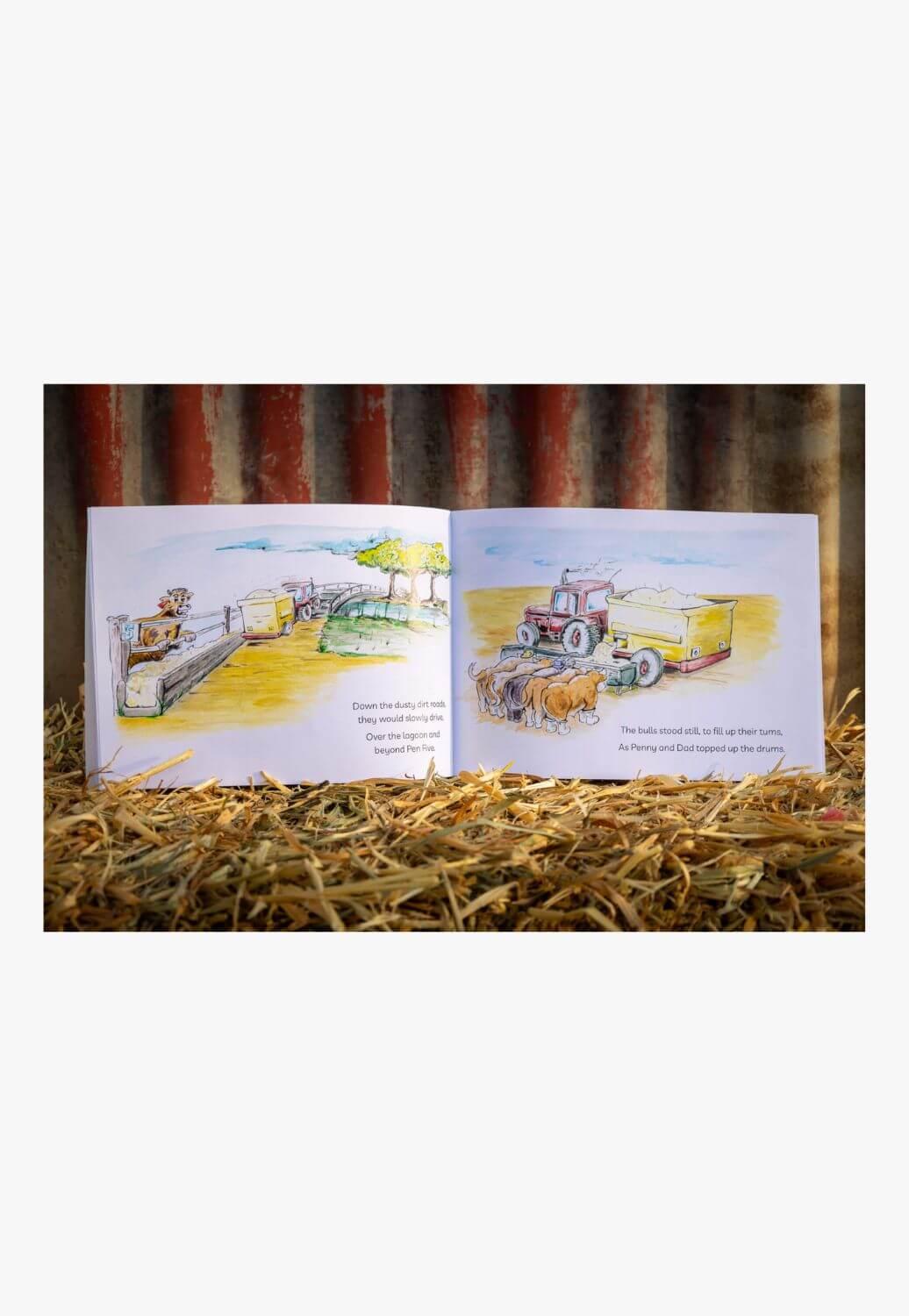 Dusty Boot Books Buckster Bull Book