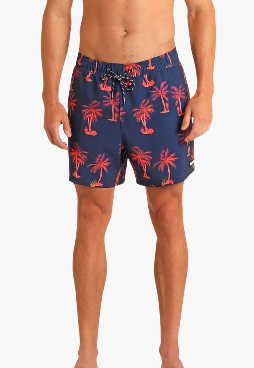 Rock and Roll Mens Royal Palm Swim Volley Shorts