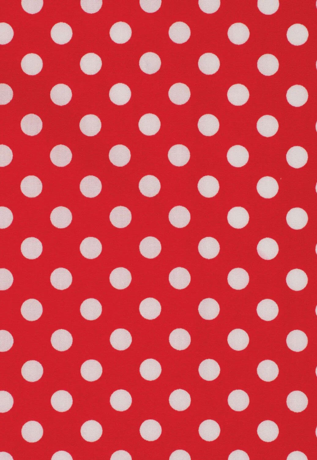 Just Country Women Abbey Long Sleeve Shirt