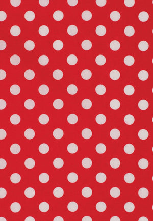 Just Country Women Abbey Long Sleeve Shirt