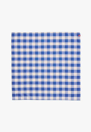 S. Kidman Parachilna Bandana