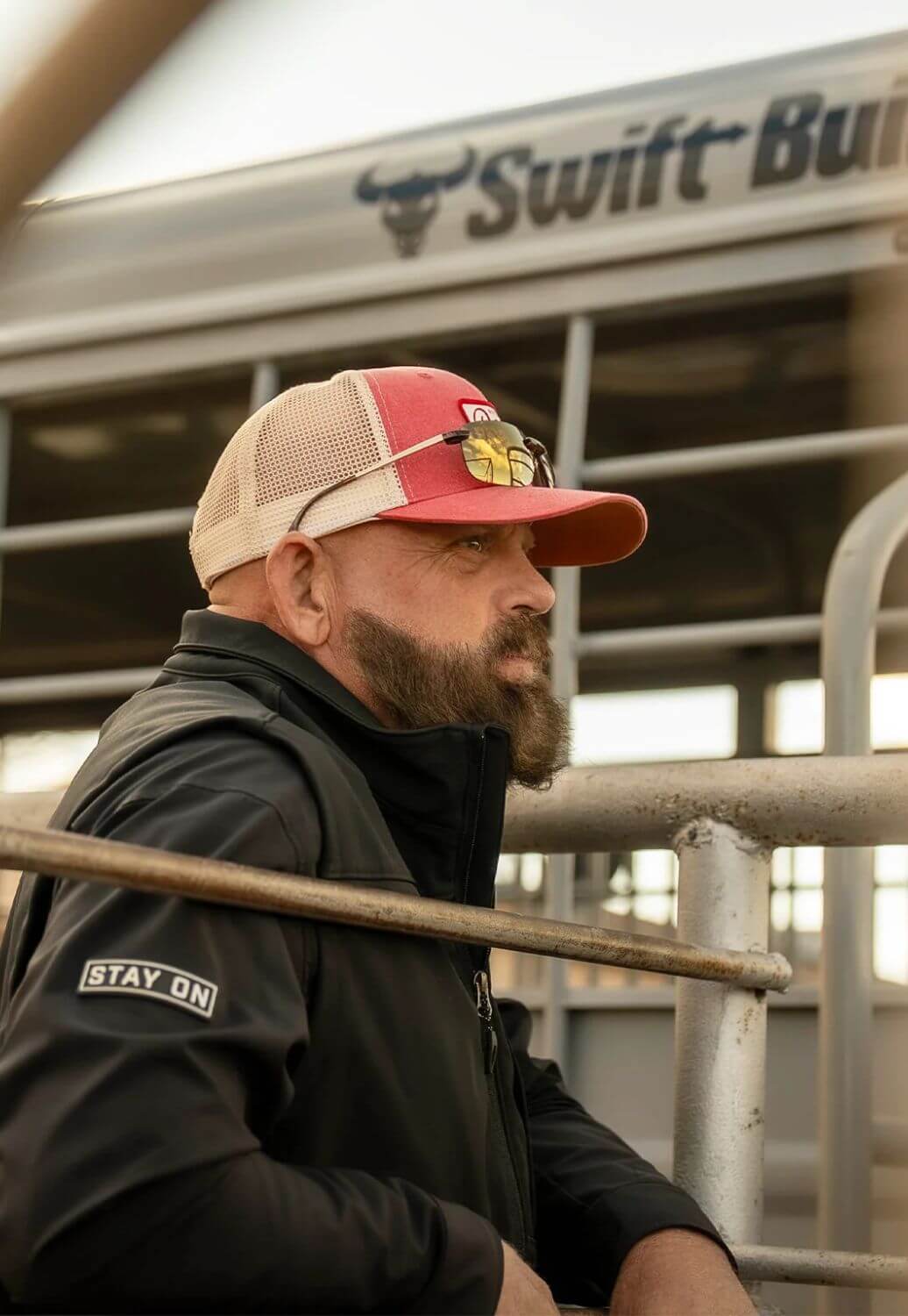 Bex Ripley Sunglasses