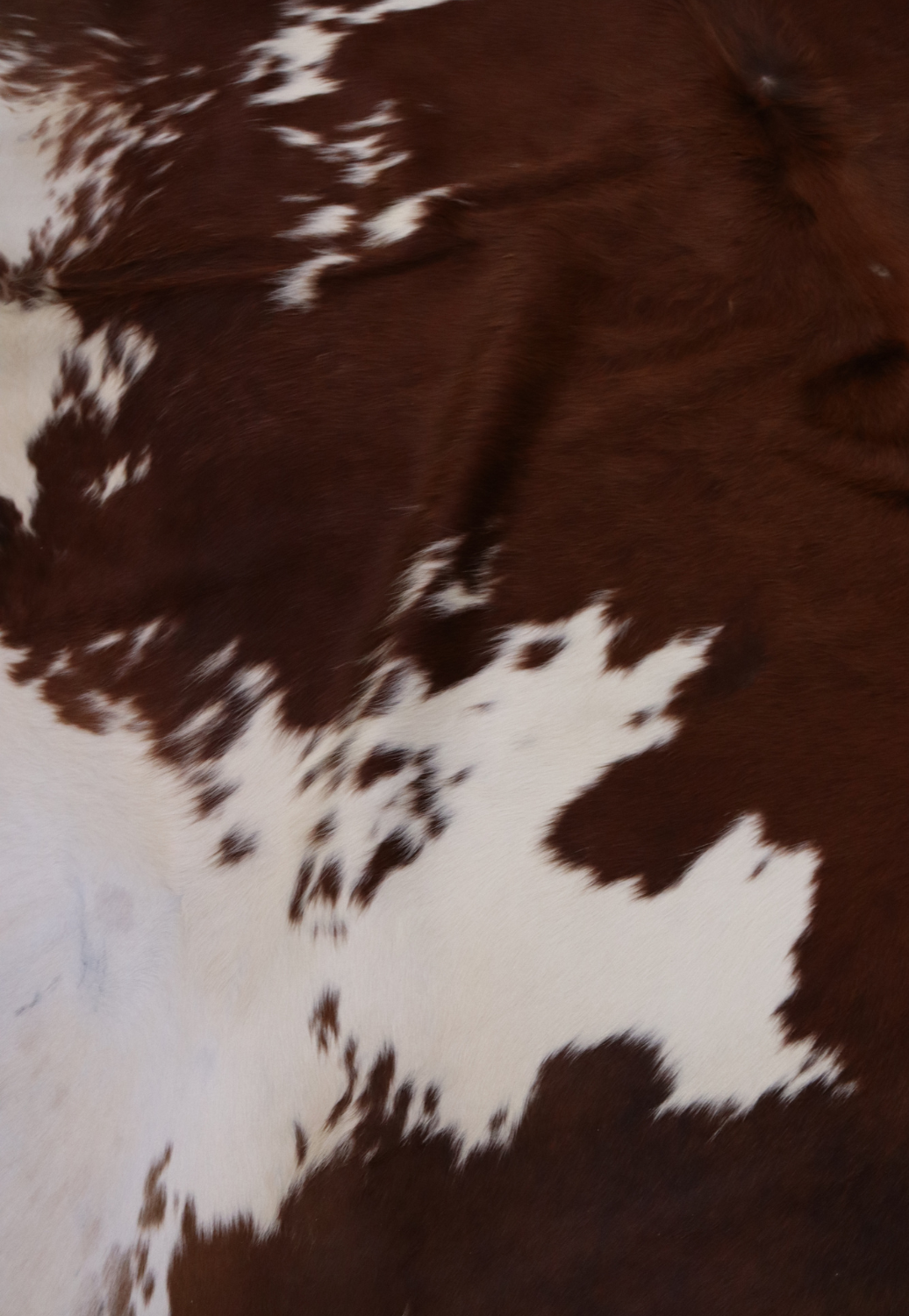 Hide & Leather House Cowhide Rug