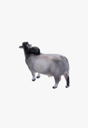 Little Buster Toys Brahman Bull