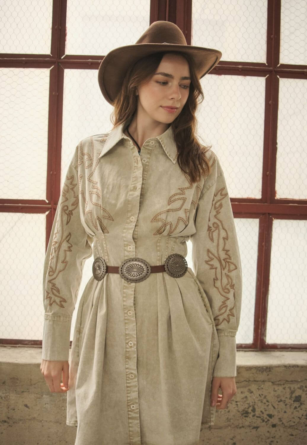 Blue B Womens Western Embroidered Shirt Dress