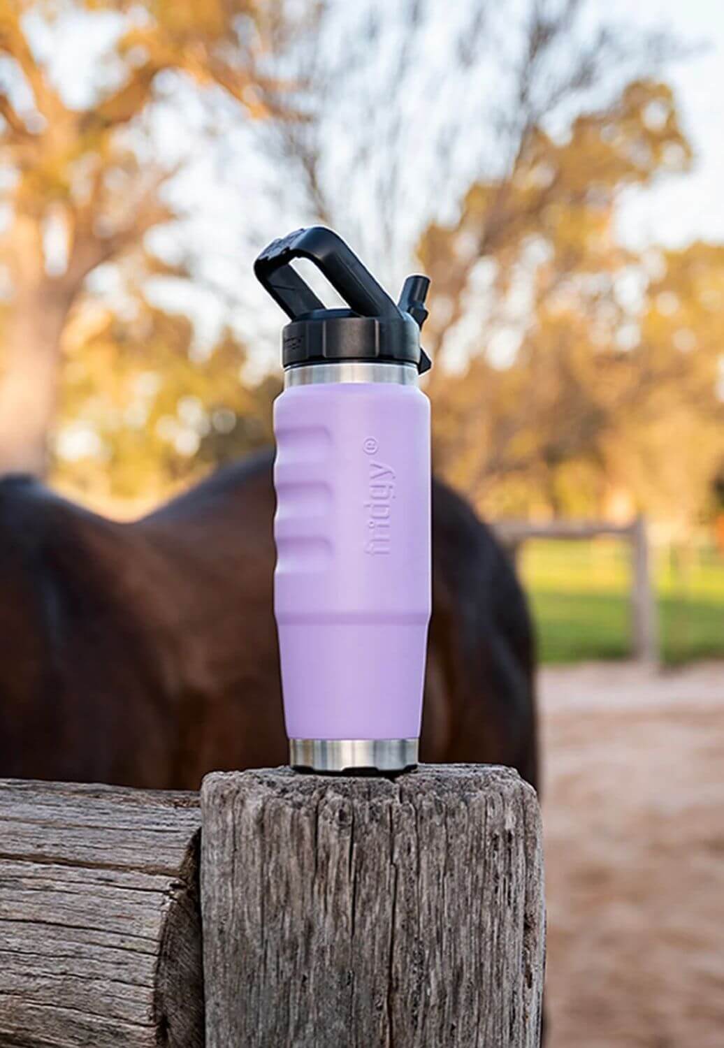 Fridgy Cruise Range 750ML Water Bottle