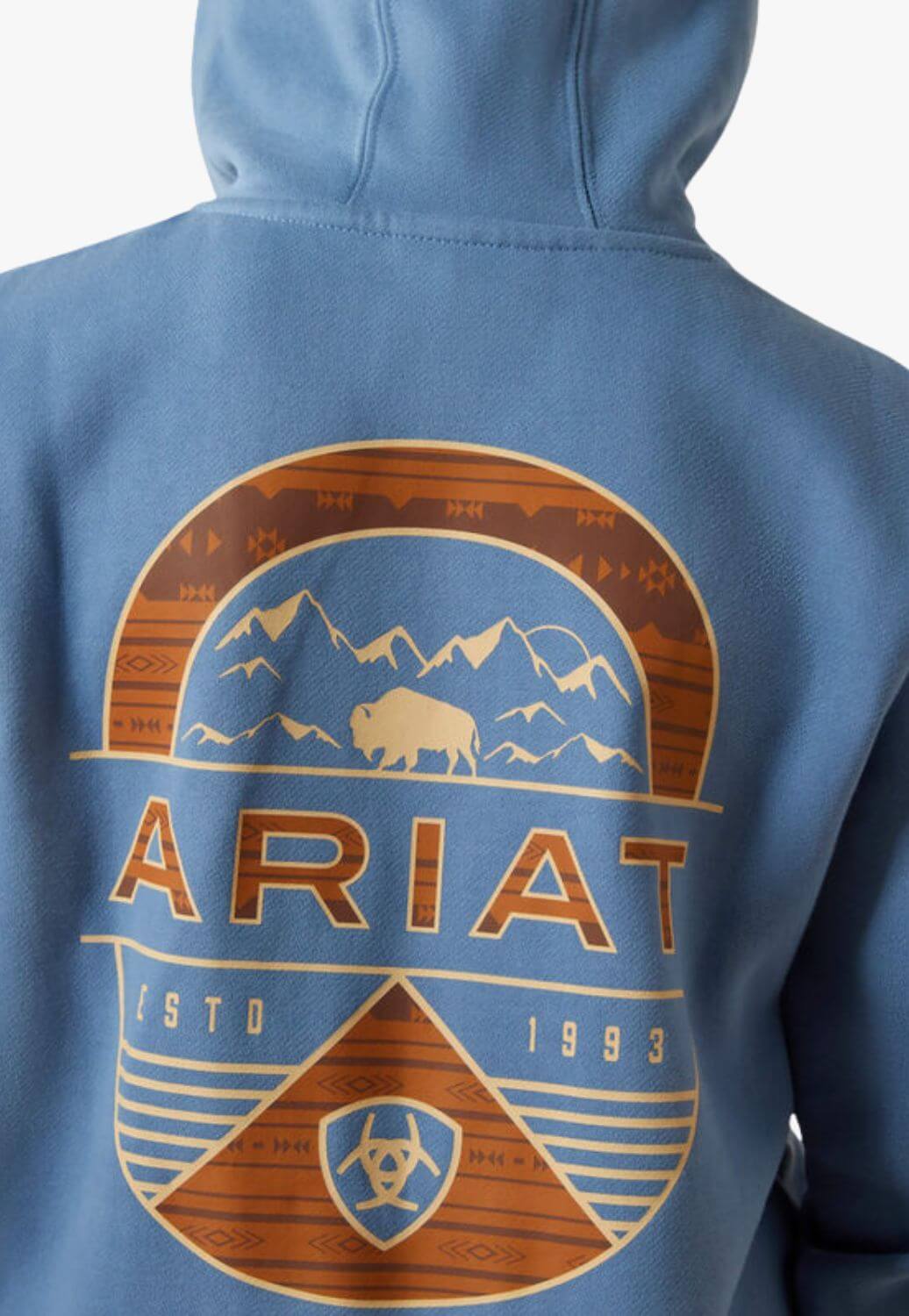 Ariat Boys Sun Valley Circle Hoodie