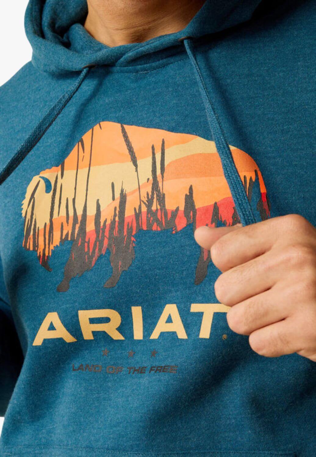 Ariat Mens Bison Plains Hoodie