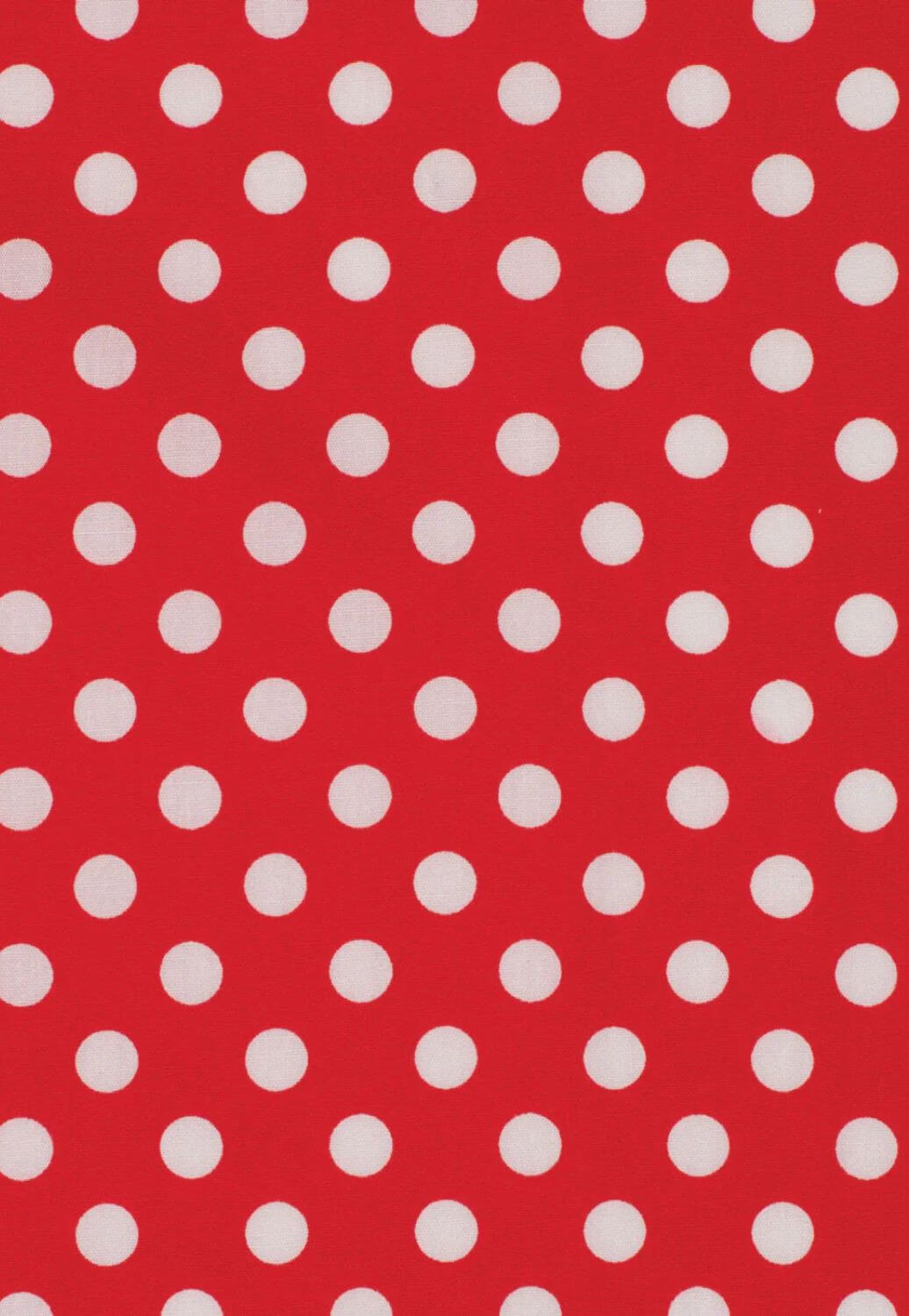 Just Country Women Abbey Long Sleeve Shirt