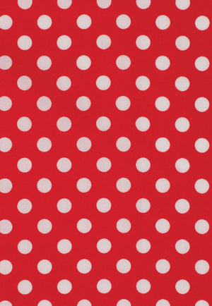 Just Country Women Abbey Long Sleeve Shirt