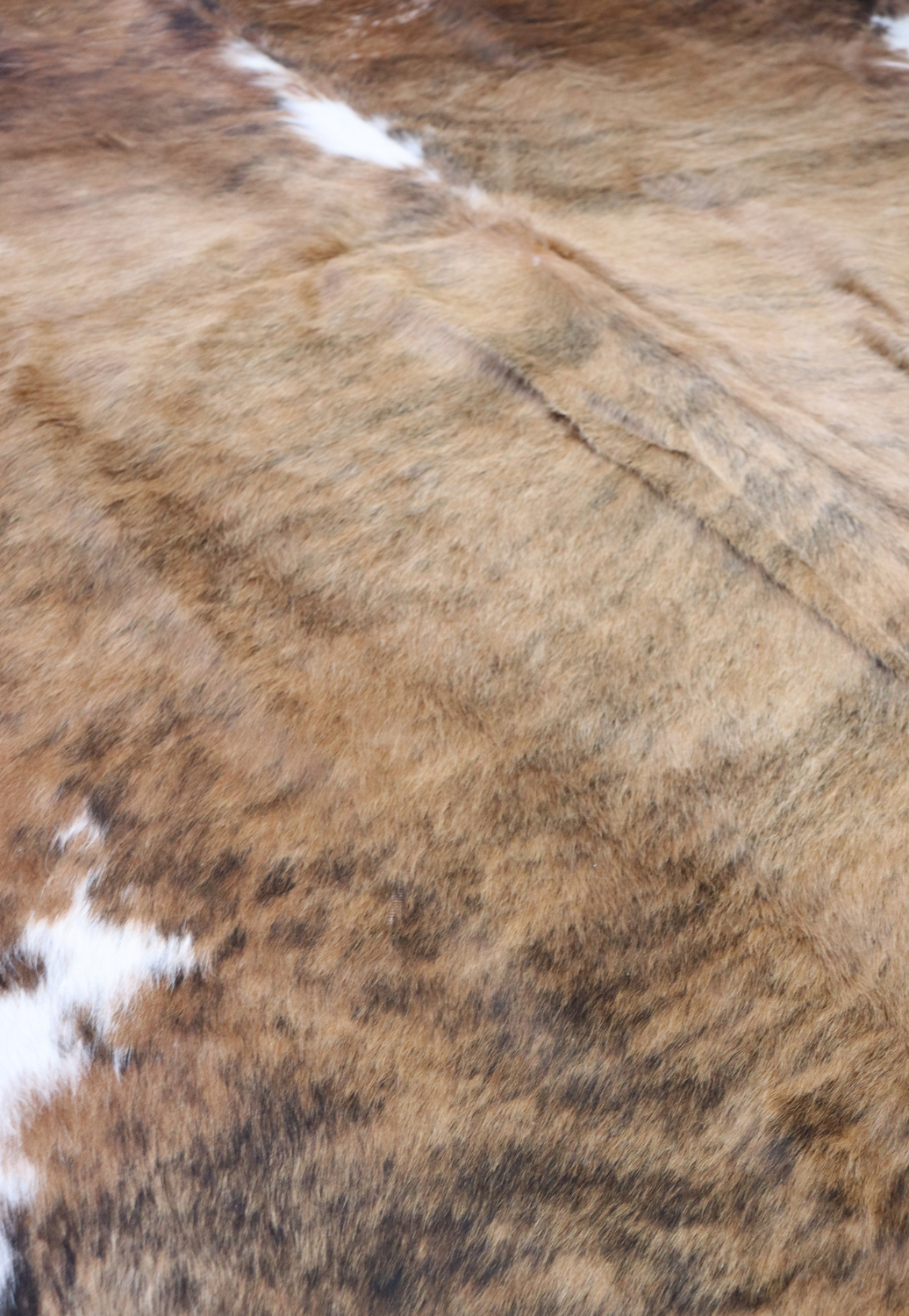 Hide & Leather House Cowhide Rug