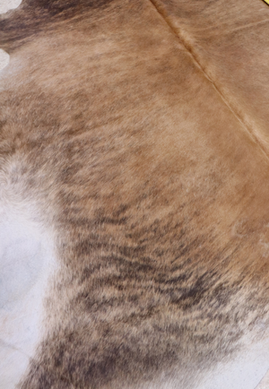 Hide & Leather House Cowhide Rug